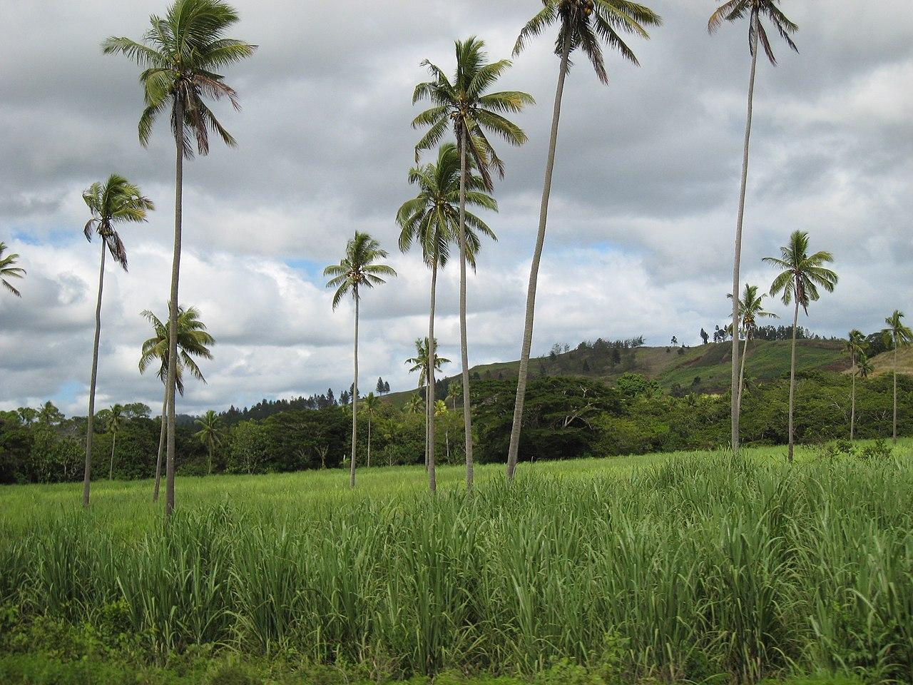 Vanua Levu, Fiji